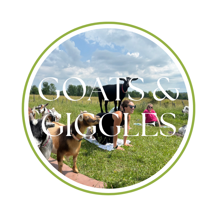 Goats & Giggles Tour