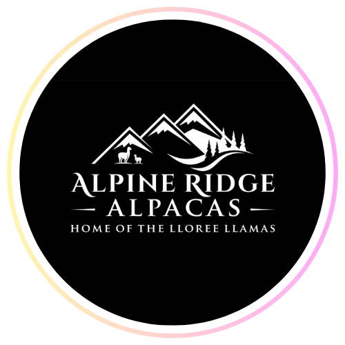 Alpine Ridge Alpacas | Clarksburg, Blue Mountains – Alpine Ridge Alpaca ...